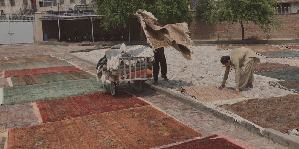 Sourcing rugs in Pakistan, and new rugs in stock