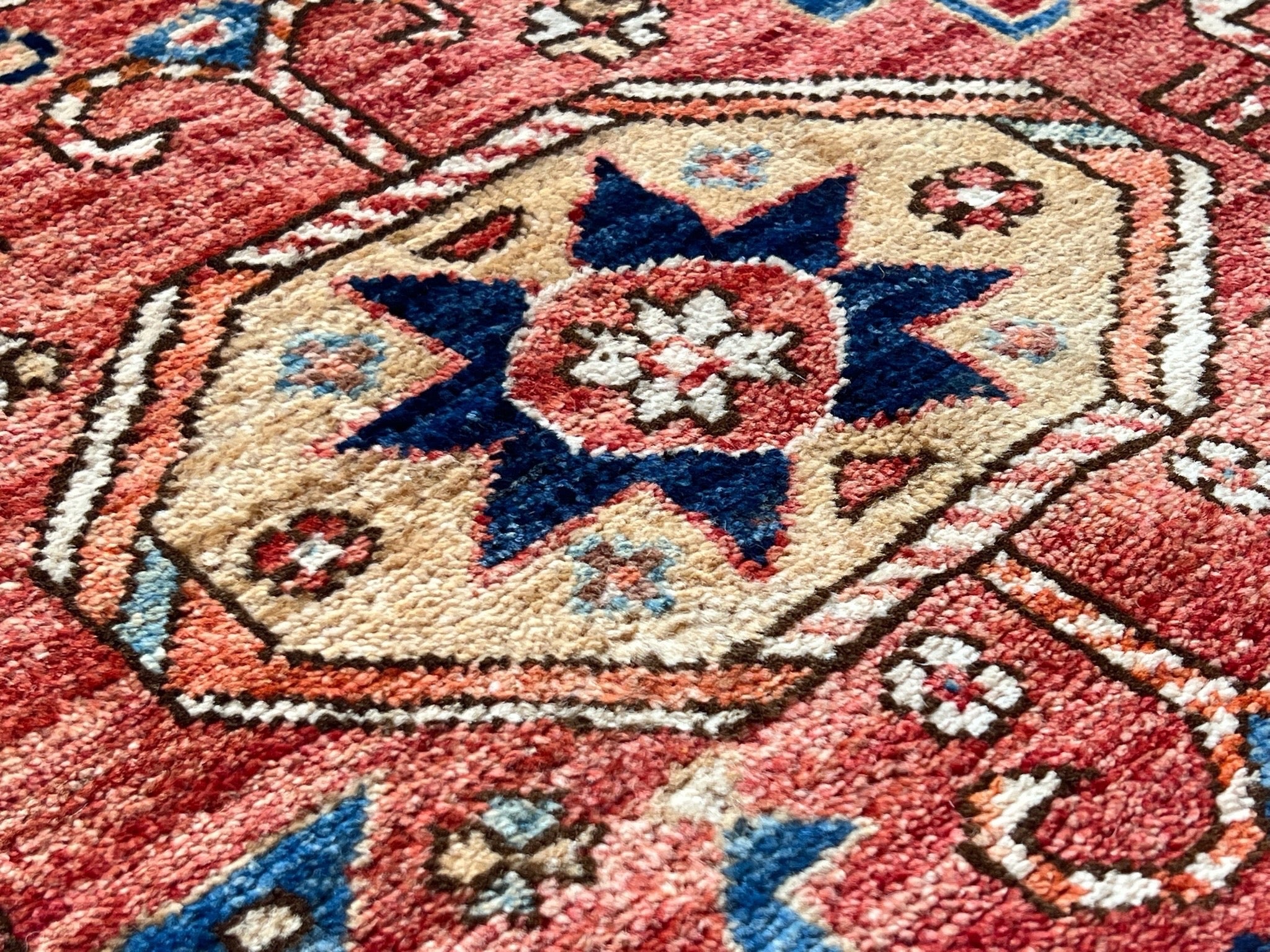 Aryana Rug