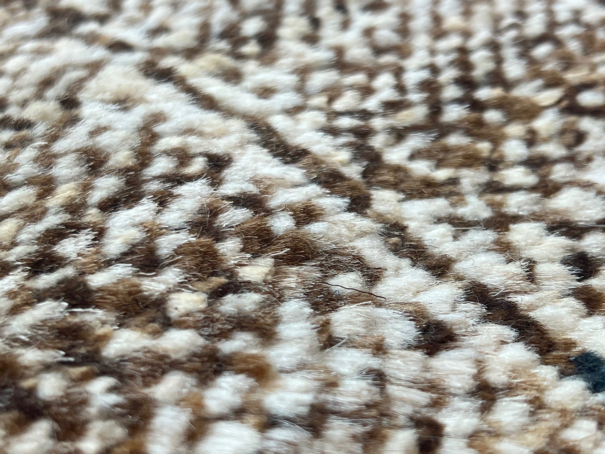 Taimany Rug